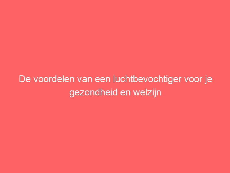 De voordelen van een luchtbevochtiger voor je gezondheid en welzijn 1