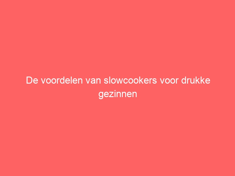 De voordelen van slowcookers voor drukke gezinnen 1