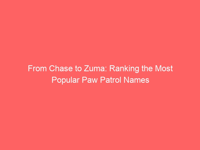 From Chase to Zuma: Ranking the Most Popular Paw Patrol Names 10