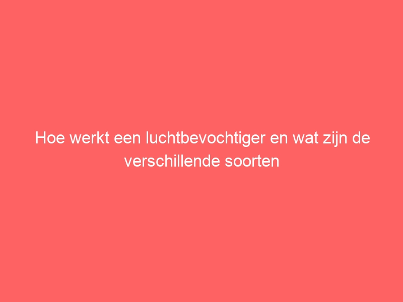 Hoe werkt een luchtbevochtiger en wat zijn de verschillende soorten 1