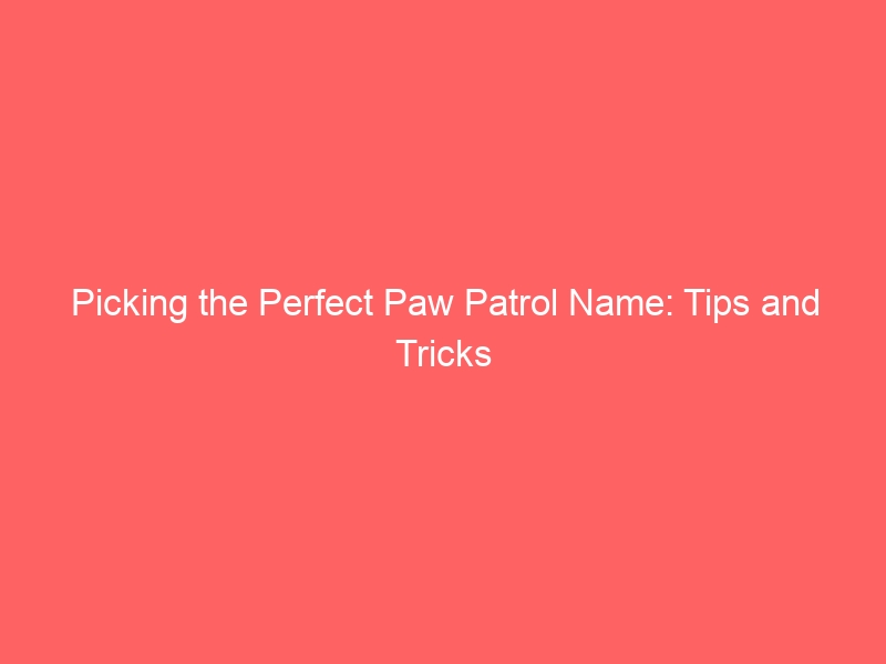 Picking the Perfect Paw Patrol Name: Tips and Tricks 1