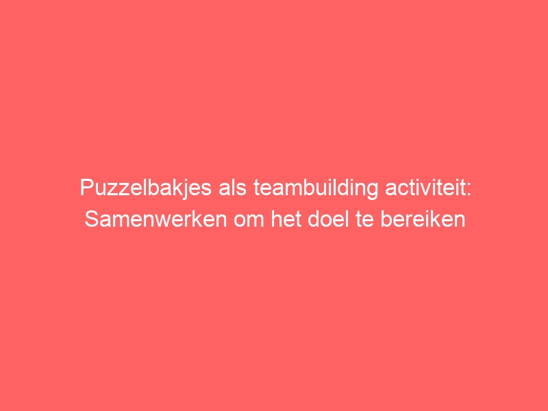 Puzzelbakjes als teambuilding activiteit: Samenwerken om het doel te bereiken 7