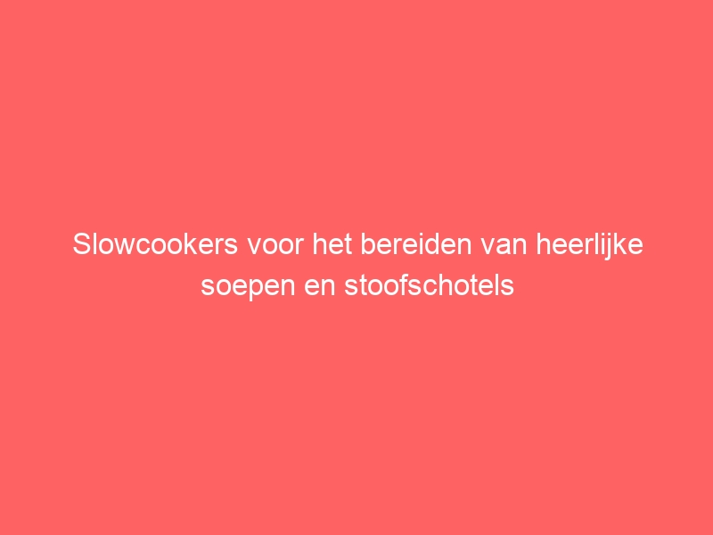 Slowcookers voor het bereiden van heerlijke soepen en stoofschotels 1