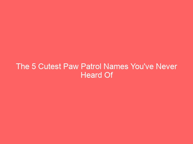 The 5 Cutest Paw Patrol Names You've Never Heard Of 20