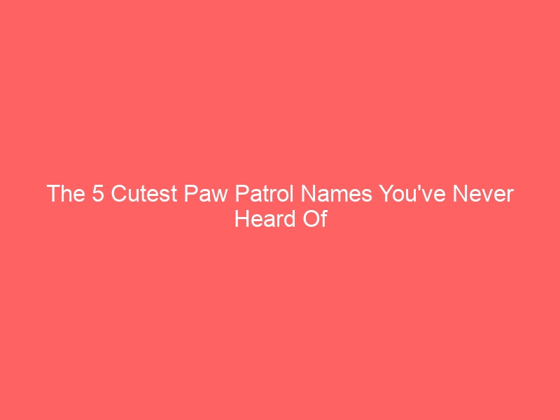 The 5 Cutest Paw Patrol Names You've Never Heard Of 1