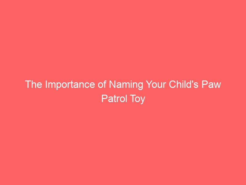 The Importance of Naming Your Child's Paw Patrol Toy 1